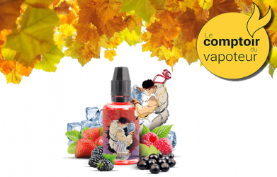 Concentré Seiryuto - Fraise - Mûre - Framboise - Cassis - Frais - 30ml - Fighter Fuel - le comptoir du vapoteur